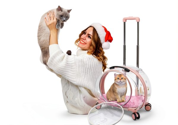 TripleHare-Official Cat Hard-Sided Carrier 17.5 x 11 x 13-5