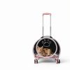 Mejuv Breathable Cat Carrier Pet Supplies-2