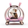TripleHare-Official Cat Hard-Sided Carrier 17.5 x 11 x 13-4