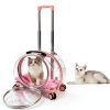 TripleHare-Official Cat Hard-Sided Carrier 17.5 x 11 x 13-1
