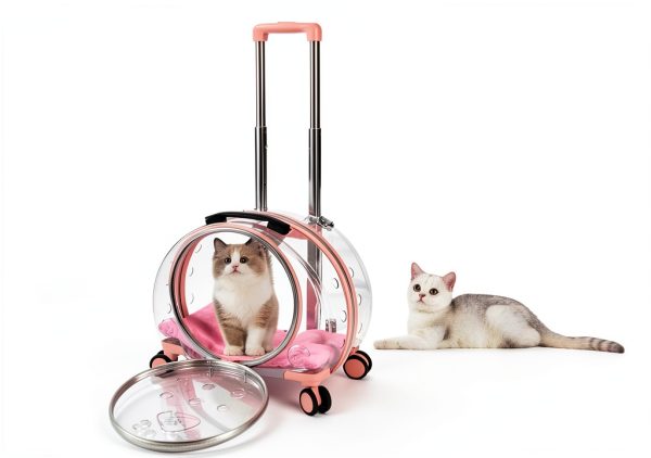 TripleHare-Official Cat Hard-Sided Carrier 17.5 x 11 x 13-1
