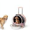 Mejuv Breathable Cat Carrier Pet Supplies-3