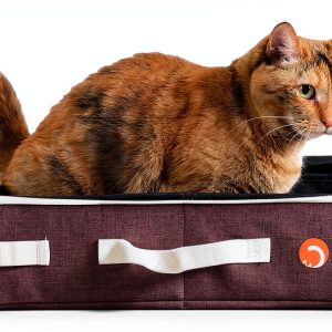 Collapsible Cat Litter Box by PREFERABLE CART-0