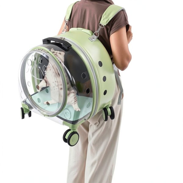 SNWJIAYIN_US Pet Carrier for Cats and Dogs-1