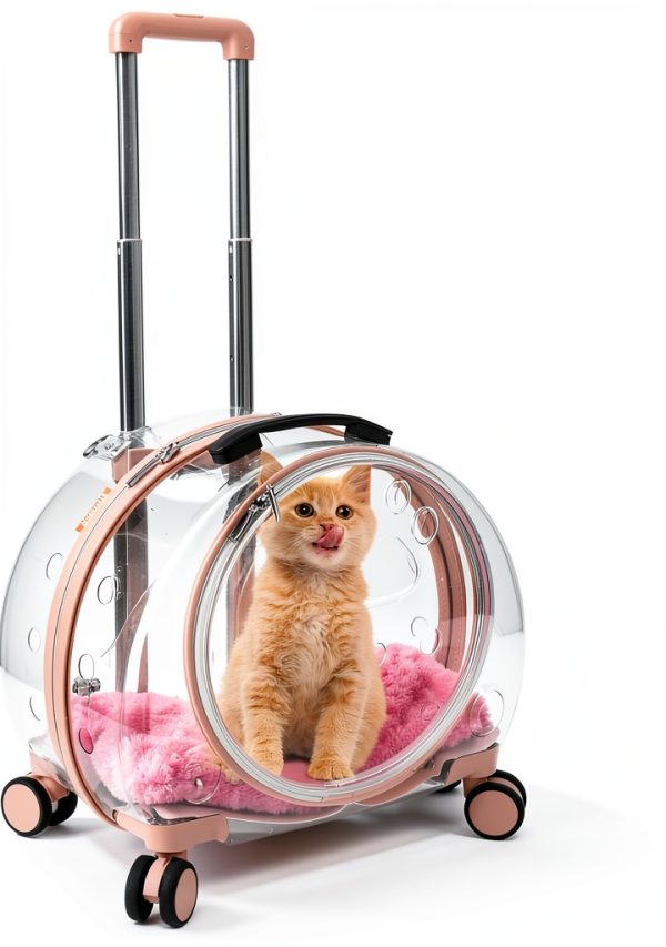 TripleHare-Official Cat Hard-Sided Carrier 17.5 x 11 x 13-0