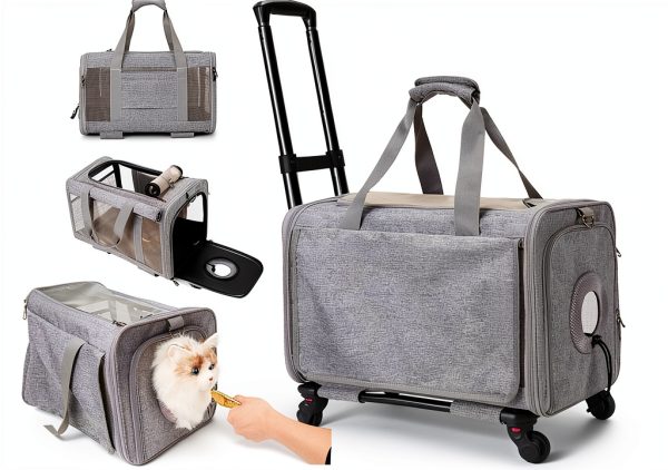Cat Carrier SHUANGYANG hard sided R001 Mesh Ventilation Model-0