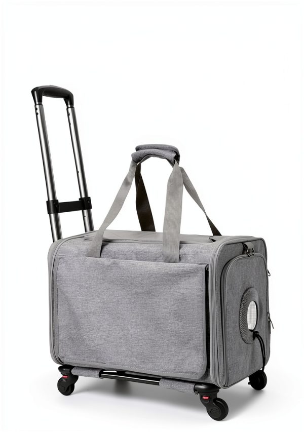 Cat Carrier SHUANGYANG hard sided R001 Mesh Ventilation Model-1