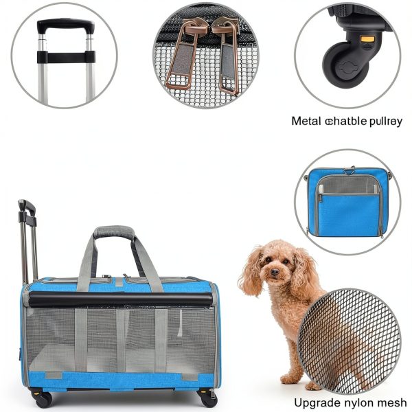 GJEASE Cat Hard Sided Carrier L Model Durable Ventilated Travel Crate-2