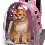 Large Cat Backpack Carrier Vivicreate Transparent Bubble Design Pink-0